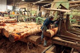 Semana clave para caso Innovaciones Forestales: Equitas presentará último peritaje y pedirá al fiscal solicitar formalización