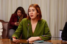Diputada Catalina Pérez: “Este me parece un exceso que no tiene nombre”