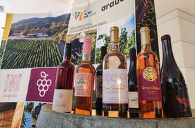 Viñateros del Itata traen la tradición del Cinsault al Gran Concepción