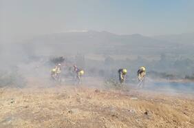 Senapred declara alerta roja por incendio forestal en Chillán