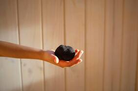 Así se produce la preciada trufa en el sur de Chile