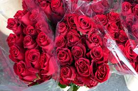 Día de los Enamorados: florerías apuestan a aumentar sus ventas respecto de 2020 pese a la pandemia