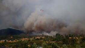 Incendios forestales afectan más de 1.190 hectáreas en la Región del Maule