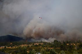 Incendios forestales afectan más de 1.190 hectáreas en la Región del Maule