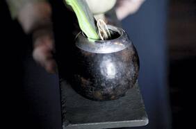 Peumayén ancestral drinks