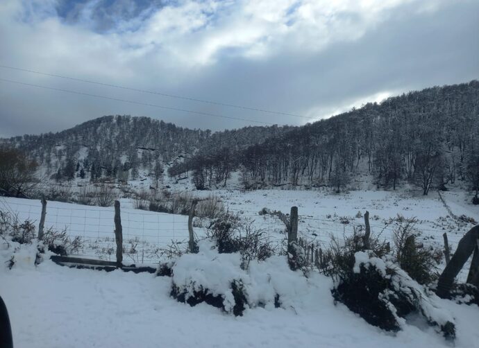 122 familias siguen aisladas en Lonquimay por temporal de viento y nieve La Tercera