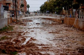 Columna de Maisa Rojas y Carlos Montes: Ciudades frente a la emergencia climática
