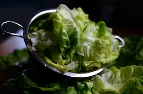 Científicos descubren que sustancia presente en varias verduras retrasa avance del cáncer de próstata