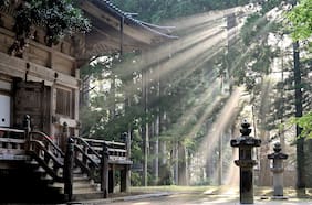 El secreto japonés para elegir una carrera con sentido