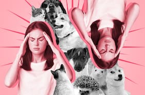 Cuando nuestros perros y gatos no son como soñamos