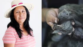 Elizabeth Choque Mamani: hija de maestra artesana busca aprender