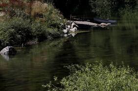 Olas de calor azotan la zona centro-sur y austral de Chile: Patagonia registra 10°C por sobre el promedio