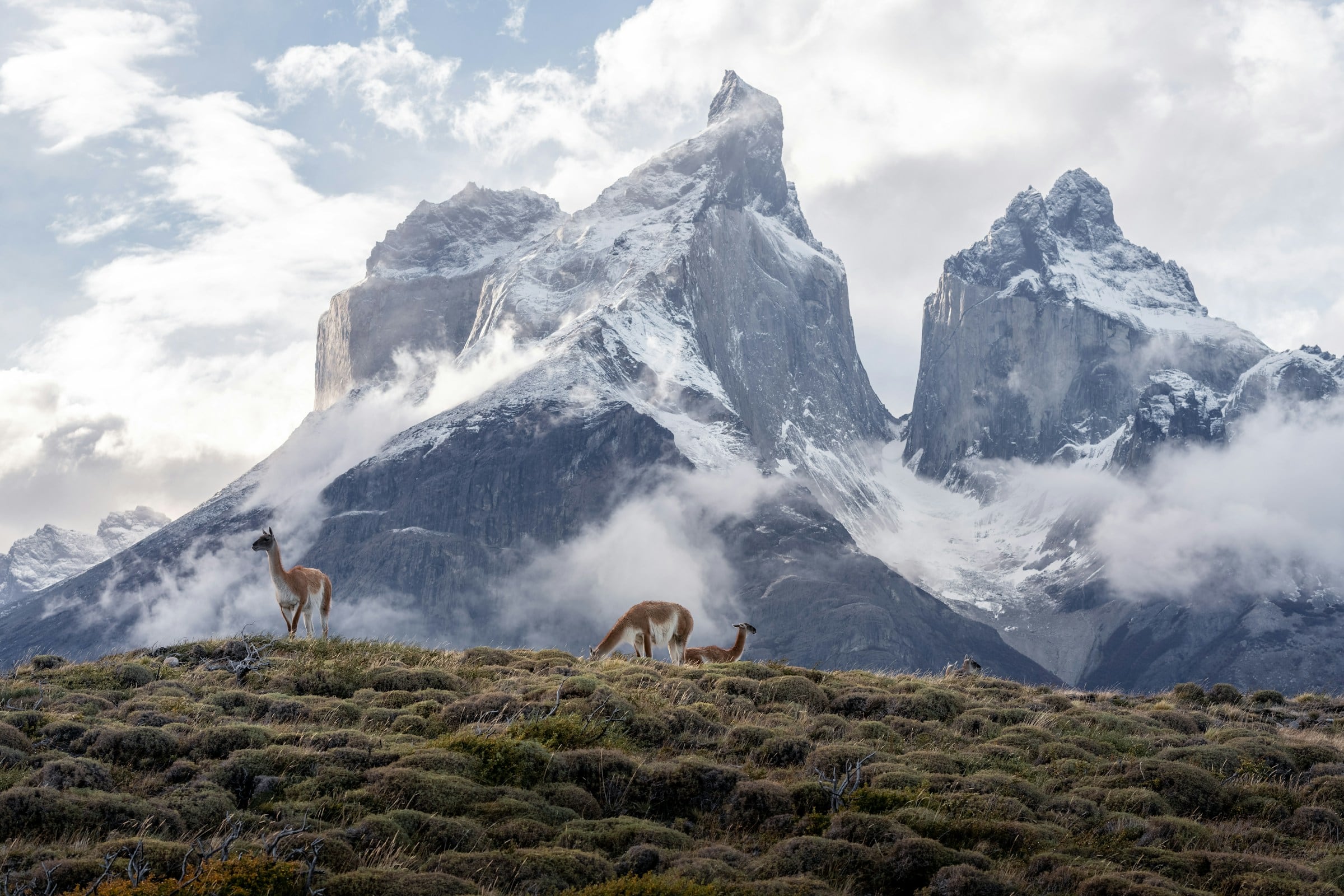 Conaf mantiene cierre de Circuito Macizo Paine en Torres del Paine por fuertes vientos