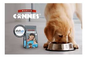 Nuevo Cannes: certificado por el DICTUC y con servicios veterinarios gratuitos para los compañeros perrunos