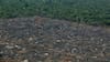 Deforestación de la Amazonia de Brasil alcanza su nivel más bajo desde 1988