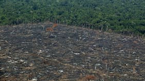 Deforestación de la Amazonia de Brasil alcanza su nivel más bajo desde 1988