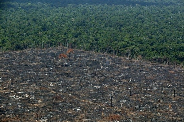 Deforestación de la Amazonia de Brasil alcanza su nivel más bajo desde 1988