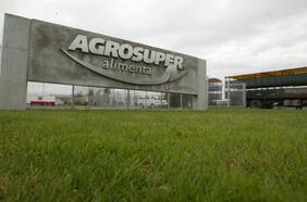 Agrosuper reparte utilidades después de tres años: US$ 60 millones llegan a su matriz