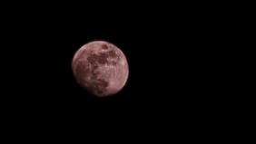 Luna Rosa: cuándo y a qué hora de Chile ver el evento de abril