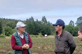 Violencia, lluvias y baja en la demanda china: los factores que amenazan al agro, según Juan Sutil