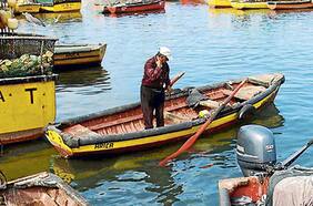 Congreso despacha a ley proyecto que entrega apoyo a pescadores artesanales frente a impacto de la pandemia