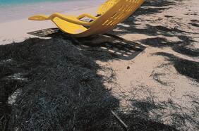 The summer is magic oh oh oh, the summer is magic