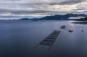 Salmones Camanchaca duplica ganancias gracias a mejores cosechas: proyecta producción histórica para 2025