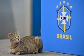 ¿La maldición del gato? En Argentina recuerdan una polémica acción de Brasil en Qatar 2022