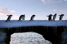 2 millones de km² de déficit: estudio chileno investiga misteriosa pérdida de hielo en la Antártica