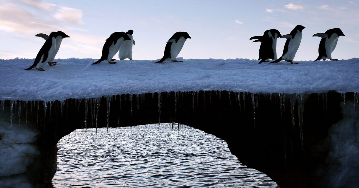 Trump impone aranceles a islas antárticas deshabitadas: un gesto sin sentido ni impacto real