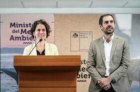 Tribunal Constitucional rechaza contienda de competencia impulsada por el gobierno en disputa con Dominga