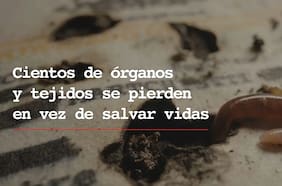 Especialistas critican campaña de donación de órganos del Minsal que muestra gusanos: “Es poco empática con quienes han sufrido la muerte”