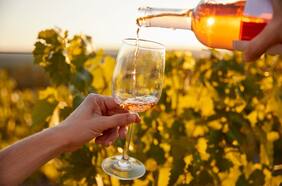 La fiesta que inaugura la temporada de vendimia en el valle de Casablanca