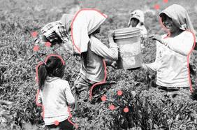 EANNA 2023 revela que 15,5% de los niños, niñas y adolescentes en Chile realiza algún tipo de trabajo