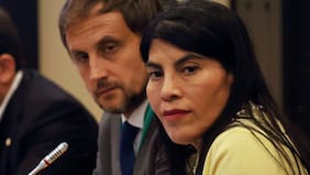 En Minciencia también se cuecen habas: la amenaza de renuncia del subsecretario Araos tras diferencias con Lincolao