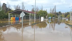 Diputada Parra (PPD) pide decretar estado de catástrofe para Angol y en sector de Araucanía Norte por graves inundaciones