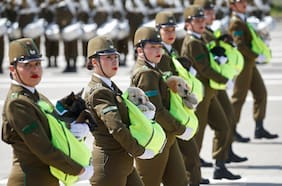 El desfile de los cachorros policiales de Carabineros en la Parada Militar