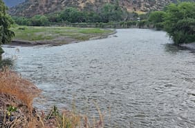 Consenso en tiempos de escasez