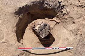 Entre “bosques fantasmas” y “aguas fósiles”: así vivieron los primeros habitantes del desierto de Atacama
