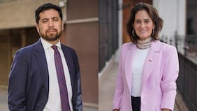 Se busca director de Mejor Niñez: Mideso llama a concurso para reemplazar a Claudio Castillo tras “pérdida de confianza”