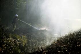 La sequía y el aumento de la temperatura: la explosiva mezcla tras las inusuales advertencias de incendios forestales en el norte de Europa