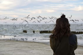 Por qué las aves urbanas le tienen más miedo a mujeres que hombres, según un estudio