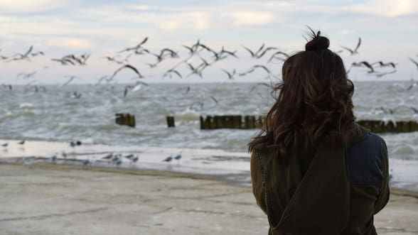 Por qué las aves urbanas le tienen más miedo a mujeres que hombres, según un estudio
