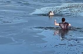 No le importó el agua congelada y se lanzó al rescate de un perro