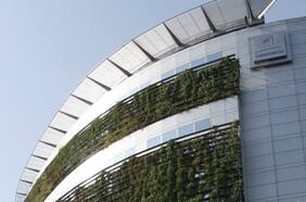 Retiro en rentas vitalicias: Consorcio y Confuturo anuncian que acudirán a la Suprema luego de que la Corte de Apelaciones declaró inadmisibles sus recursos de protección