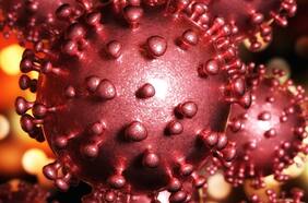 ¿Hay una variante chilena, magallánica o andina? Así se determinan los nombres de los nuevos virus