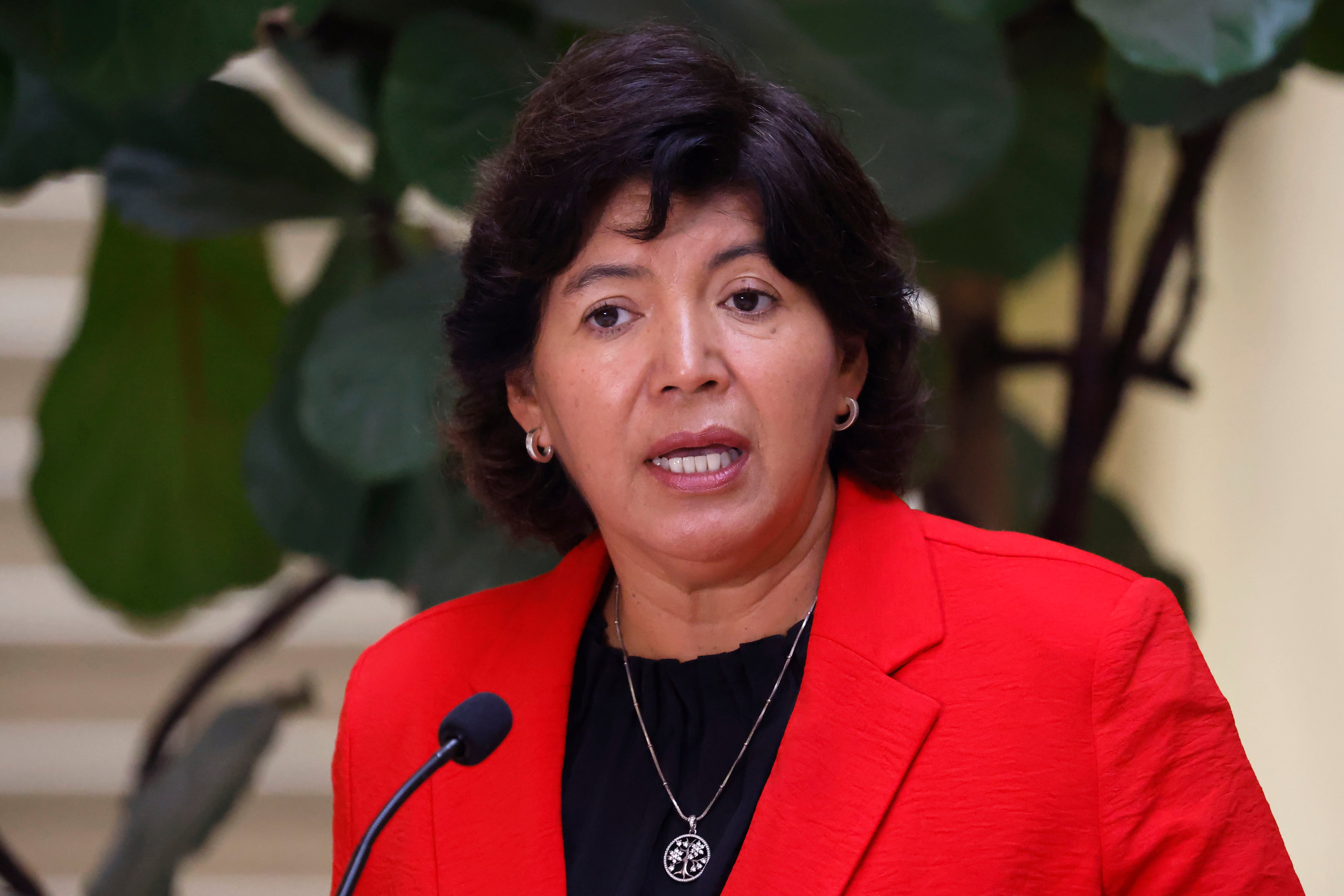 Senadora Provoste y proyecto de sala cuna universal: "No nos parece una buena política desvestir un santo para vestir a otro"