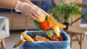 En Chile, el 49,9% declara desperdiciar alimentos al menos una vez por semana, la cifra más alta de la región