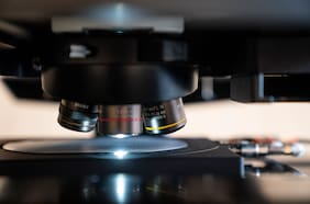 Cómo las mutaciones han dado forma a la pandemia Covid-19