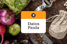 Datos Paula: cuatro ideas para la temporada de huertos